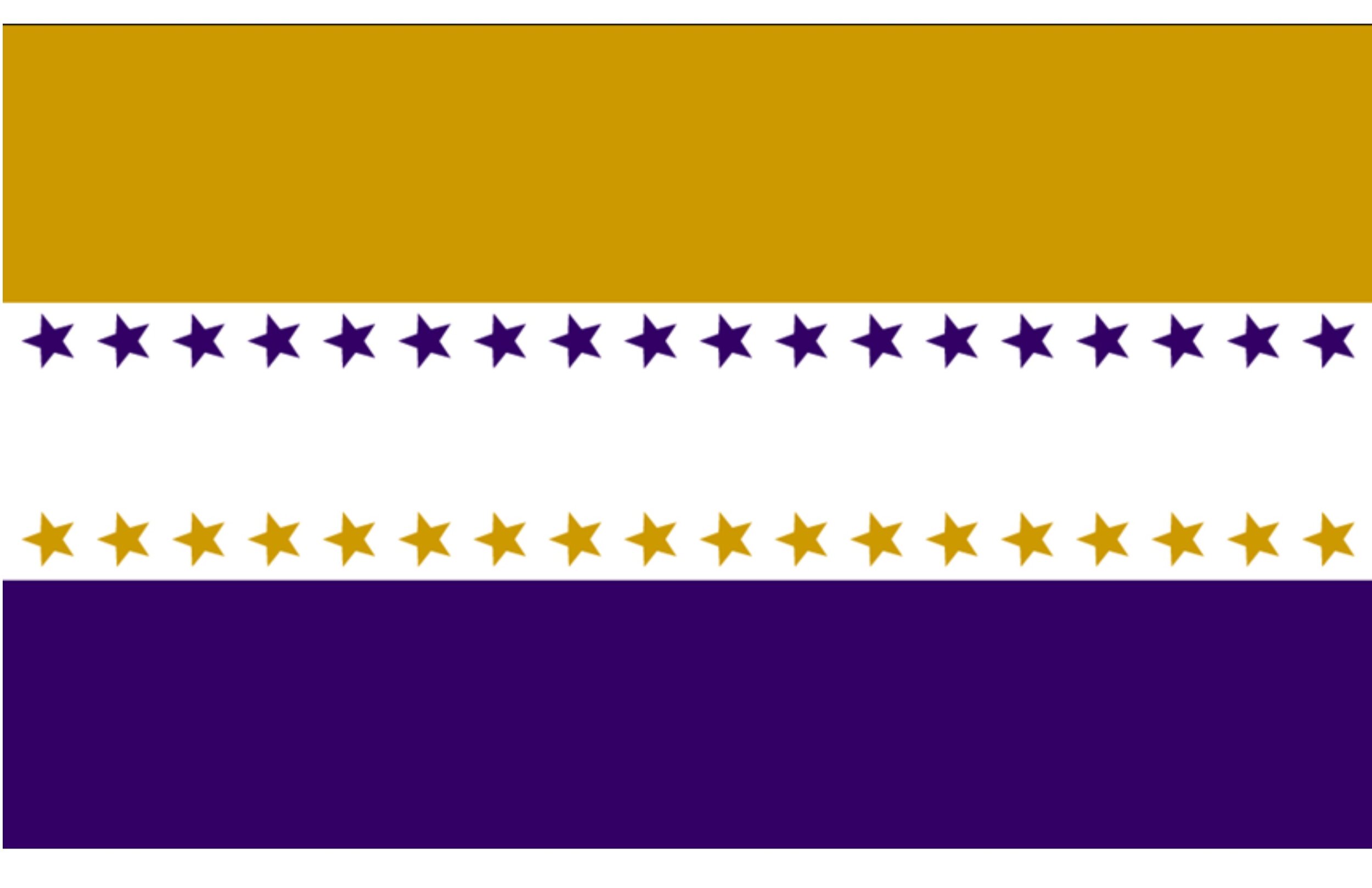 suffragettes flag