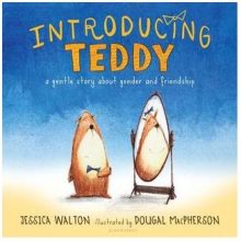 introducing teddy a gentle story about gender and friendship